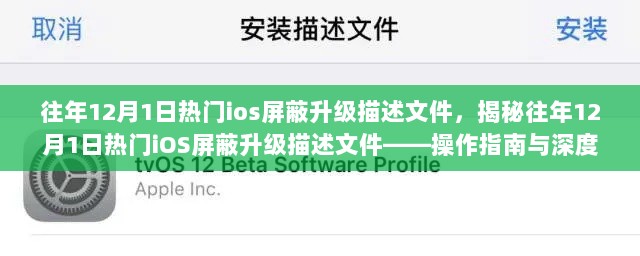 揭秘往年12月1日iOS屏蔽升级描述文件的操作指南与深度解析