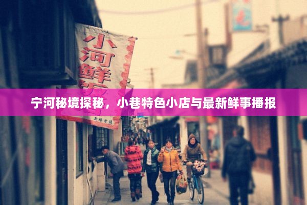 宁河秘境探秘，小巷特色小店与最新鲜事播报