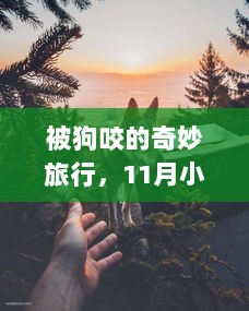 被狗咬的奇妙旅行，11月小孩与大自然的共舞时刻