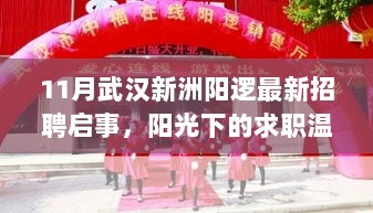 11月武汉新洲阳逻最新招聘启事，阳光下的求职温馨之旅