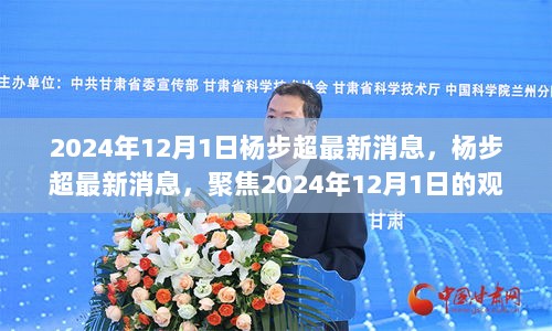 杨步超最新消息聚焦，观点分析与预测（2024年12月1日）