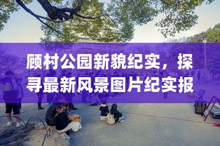 顾村公园新貌纪实，探寻最新风景图片纪实报道（附最新图片）