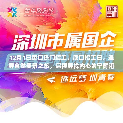 12月1日唐口热门招工，唐口招工日，追寻自然美景之旅，启程寻找内心的宁静港湾