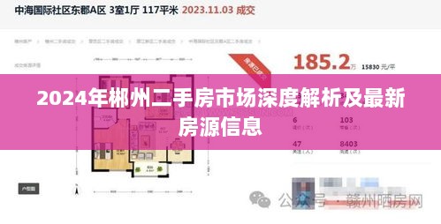 2024年郴州二手房市场深度解析及最新房源信息