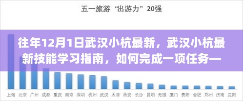 武汉小杭最新技能学习指南，从入门到进阶的详细步骤与参考建议