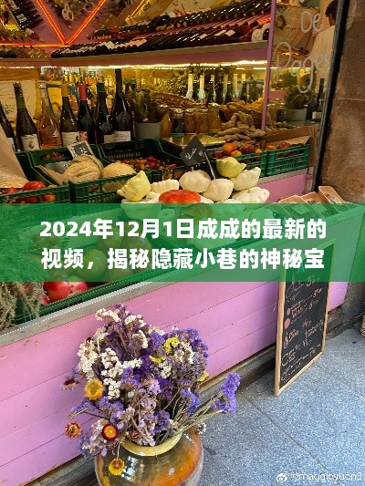 揭秘小巷神秘宝藏，成成带你探寻特色小店之旅（2024年最新视频）