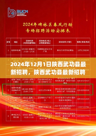 陕西武功县最新招聘动态深度解析及招聘市场观察评测报告（2024年12月）