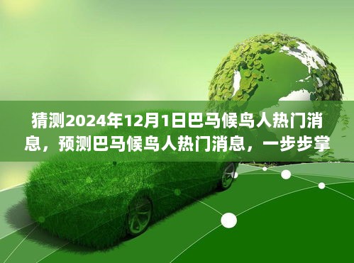 掌握未来趋势分析技能，预测巴马候鸟人热门消息揭秘，展望2024年12月1日最新动态