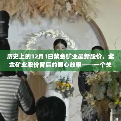 紫金矿业股价背后的暖心故事，友情与陪伴的温馨日常——历史上的最新股价回顾