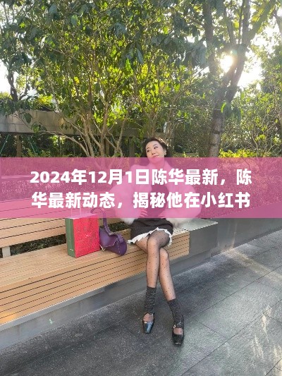 陈华最新动态揭秘，小红书闪耀时刻（2024年12月1日最新消息）