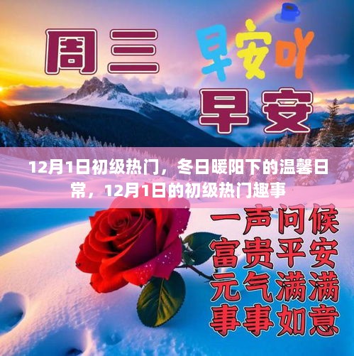 冬日暖阳下的温馨日常，12月1日初级热门趣事