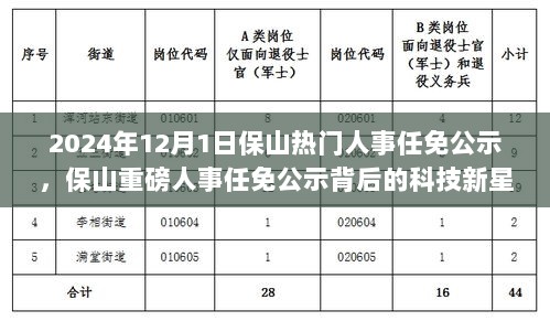 未来科技之星，保山人事任免公示背后的科技新星深度解析