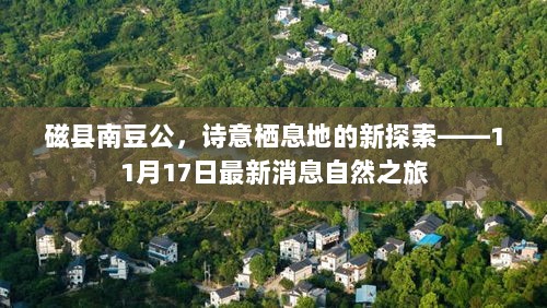 磁县南豆公，诗意栖息地的新探索——11月17日最新消息自然之旅