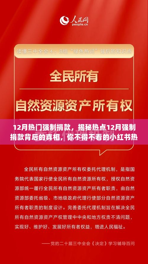 揭秘热点，揭秘热点12月强制捐款背后的真相，小红书热议话题引关注！