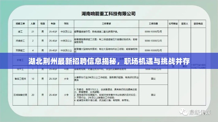 湖北荆州最新招聘信息揭秘，职场机遇与挑战并存