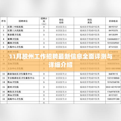 11月胶州工作招聘最新信息全面评测与详细介绍