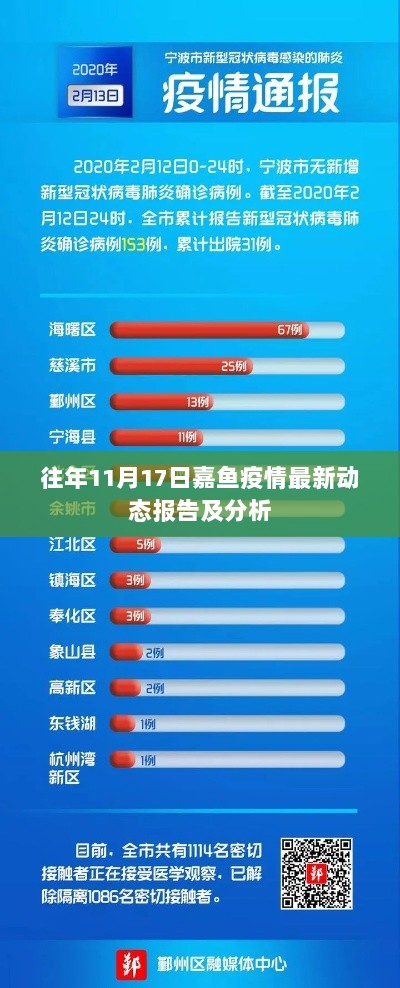 往年11月17日嘉鱼疫情最新动态报告及分析