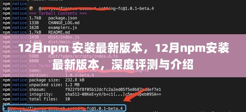 深度评测与介绍，最新npm版本安装指南（12月更新）