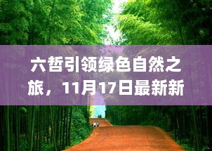 六哲引领绿色自然之旅，11月17日最新新闻探寻内心宁静之旅