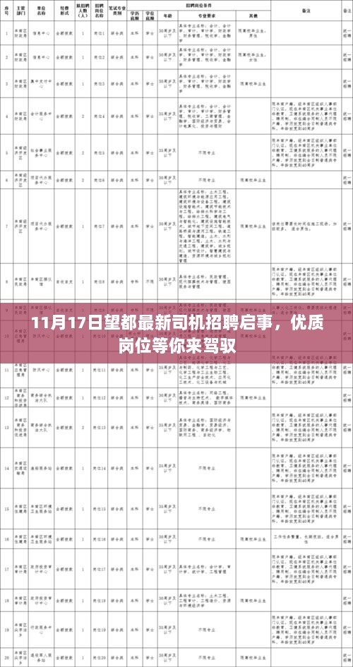 11月17日望都最新司机招聘启事，优质岗位等你来驾驭