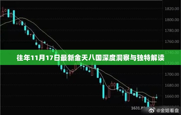 往年11月17日最新金天八国深度洞察与独特解读