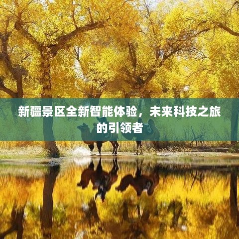 新疆景区全新智能体验，未来科技之旅的引领者