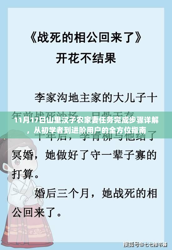 11月17日山里汉子农家妻任务完成步骤详解，从初学者到进阶用户的全方位指南