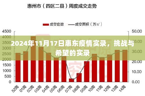 2024年11月17日惠东疫情实录，挑战与希望的实录