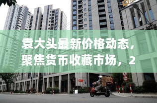 袁大头最新价格动态，聚焦货币收藏市场，2024年11月17日行情分析