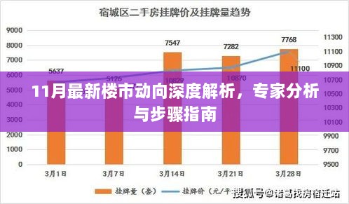 2024年12月3日 第29页