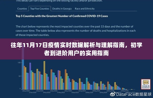 往年11月17日疫情实时数据解析与理解指南，初学者到进阶用户的实用指南