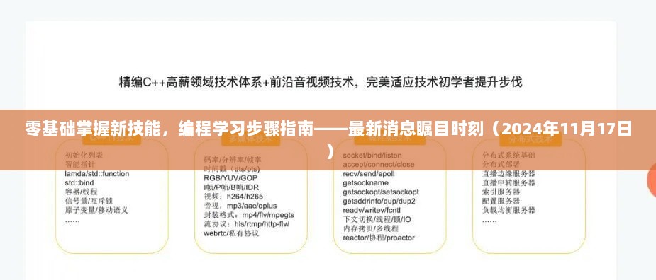 零基础掌握新技能，编程学习步骤指南——最新消息瞩目时刻（2024年11月17日）