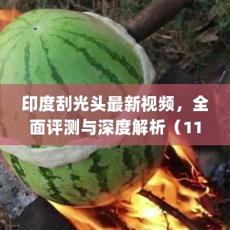 印度刮光头最新视频，全面评测与深度解析（11月17日）