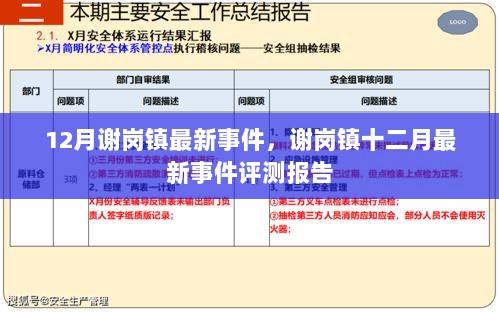 谢岗镇最新事件报道与评测报告（十二月版）