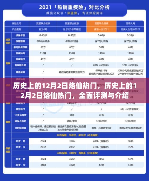 2024年12月3日 第15页