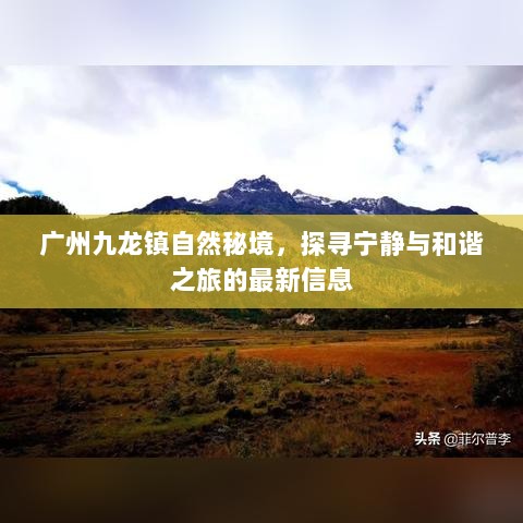 广州九龙镇自然秘境，探寻宁静与和谐之旅的最新信息