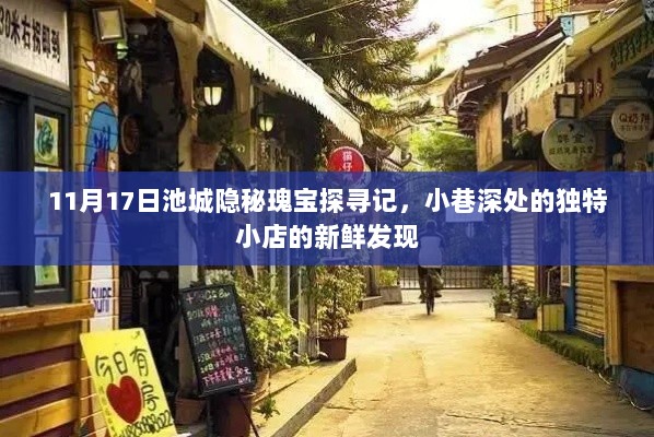 11月17日池城隐秘瑰宝探寻记，小巷深处的独特小店的新鲜发现