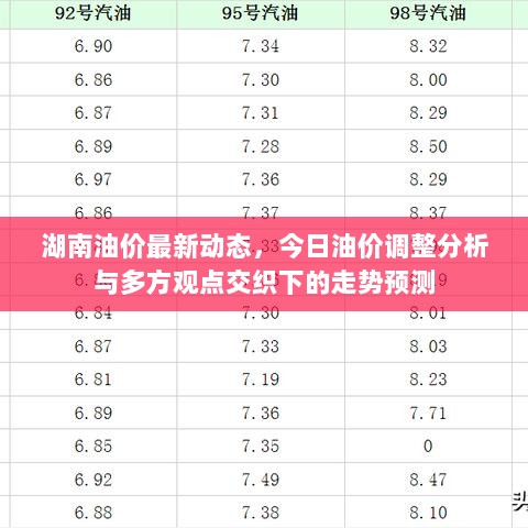 湖南油价最新动态，今日油价调整分析与多方观点交织下的走势预测