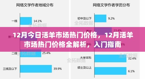 2024年12月3日 第9页