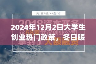 冬日暖阳下的创业故事，大学生创业政策解析与友情相伴的创业之旅（2024年）