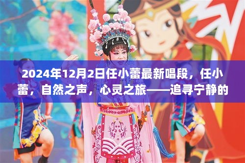 任小蕾心灵之旅，歌声与旅行的和谐交织，最新唱段欣赏（2024年）