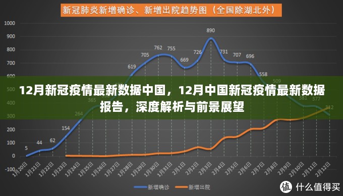 中国12月新冠疫情最新数据报告，深度解析及前景展望