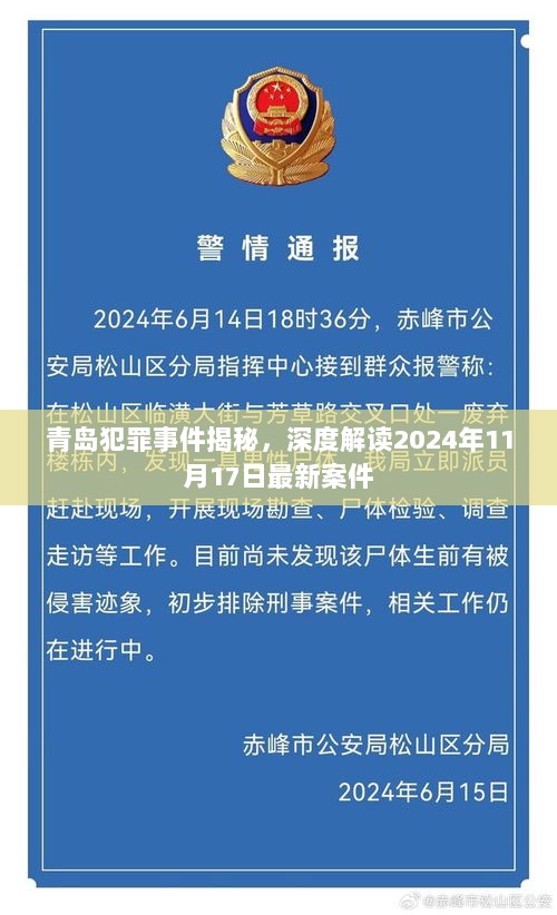 青岛犯罪事件揭秘，深度解读2024年11月17日最新案件