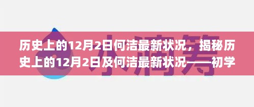 揭秘历史上的12月2日与何洁最新状况，全方位指南（初学者与进阶用户必读）