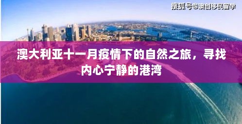 2024年12月4日 第47页