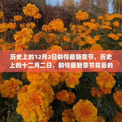 韵怜最新章节背后的故事与影响，历史上的十二月二日揭秘