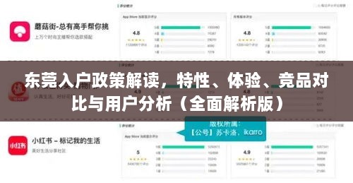 东莞入户政策解读，特性、体验、竞品对比与用户分析（全面解析版）