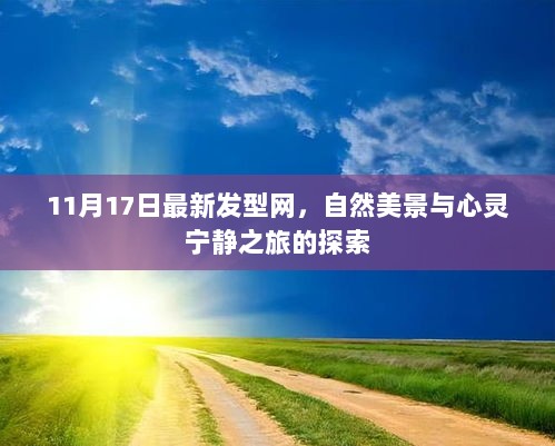 11月17日最新发型网，自然美景与心灵宁静之旅的探索