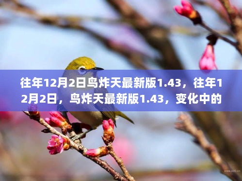 往年12月2日鸟炸天最新版1.43，变化中的学习之路，自信与成就感的飞跃提升