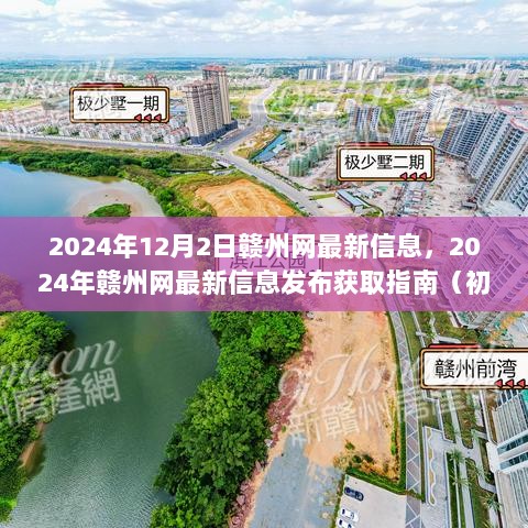 2024年赣州网最新信息发布指南，初学者与进阶用户必备